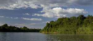 pantanal